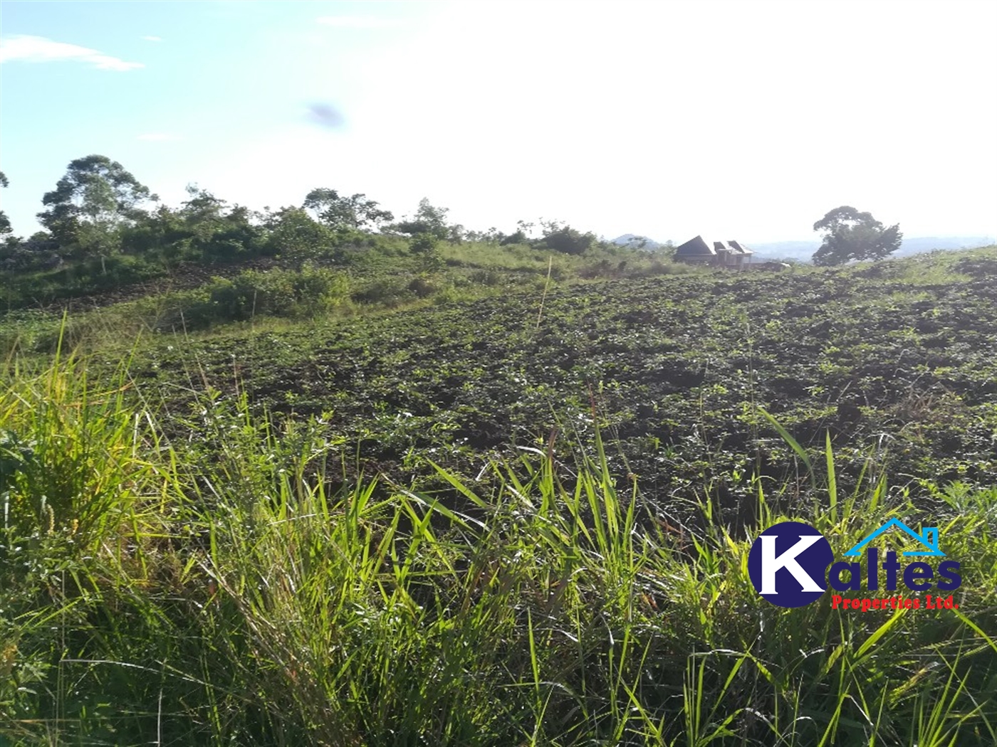 Residential Land for sale in Kiyunga Mukono