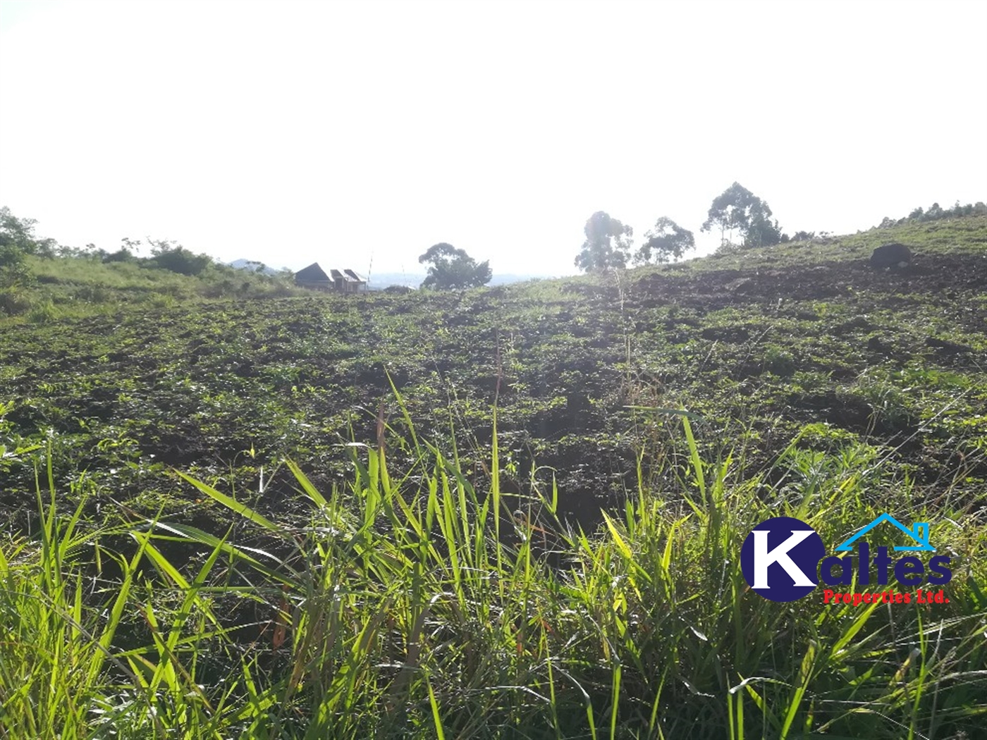 Residential Land for sale in Kiyunga Mukono