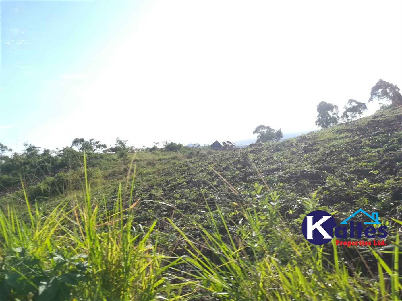 Residential Land for sale in Kiyunga Mukono