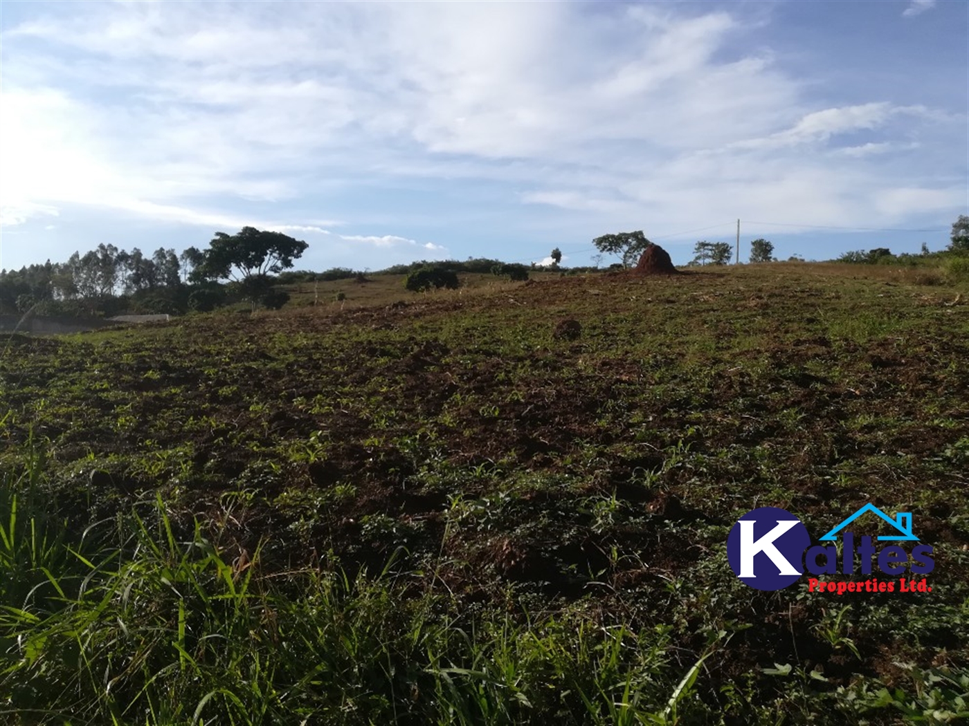 Residential Land for sale in Kiyunga Mukono