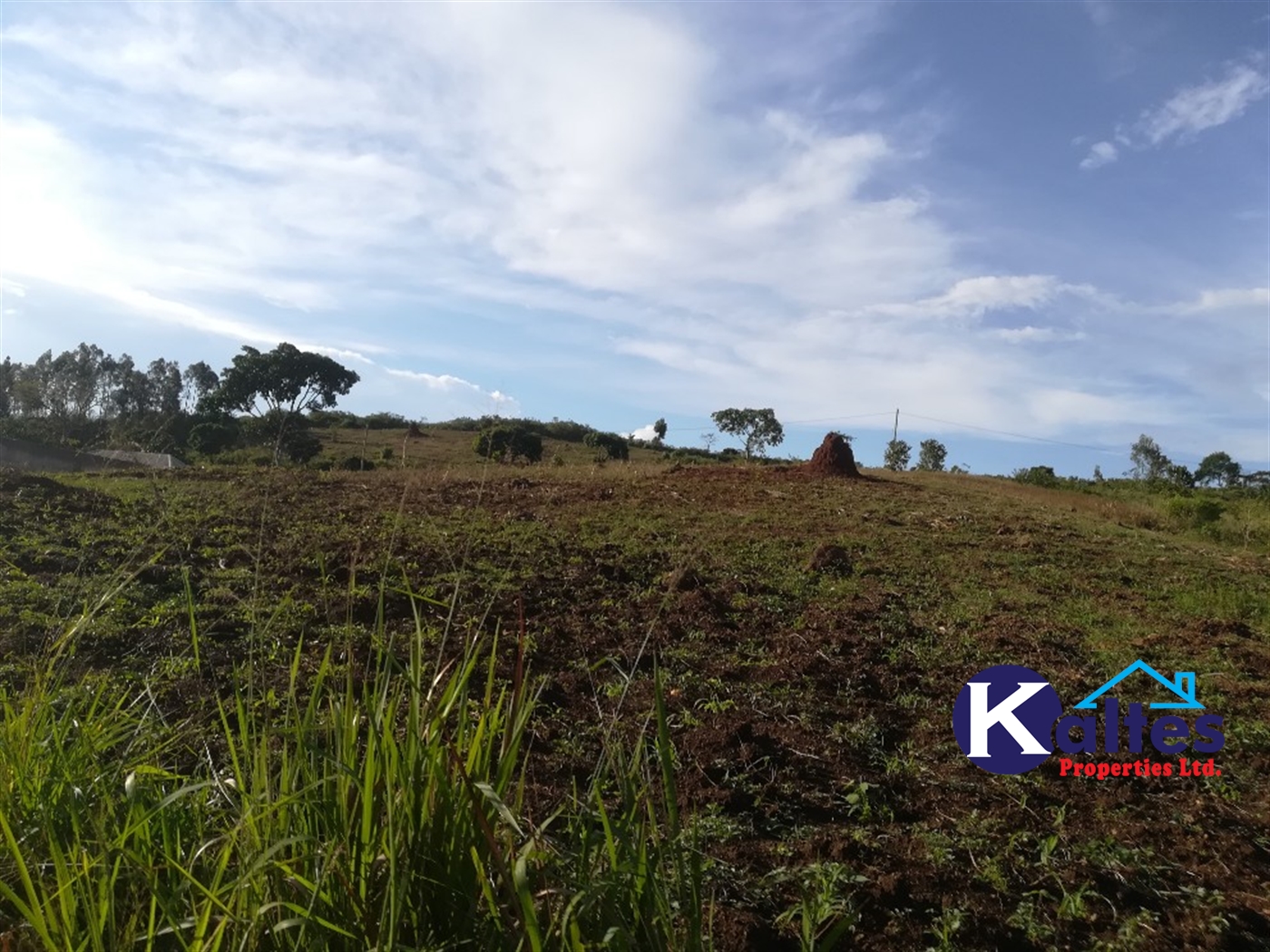 Residential Land for sale in Kiyunga Mukono