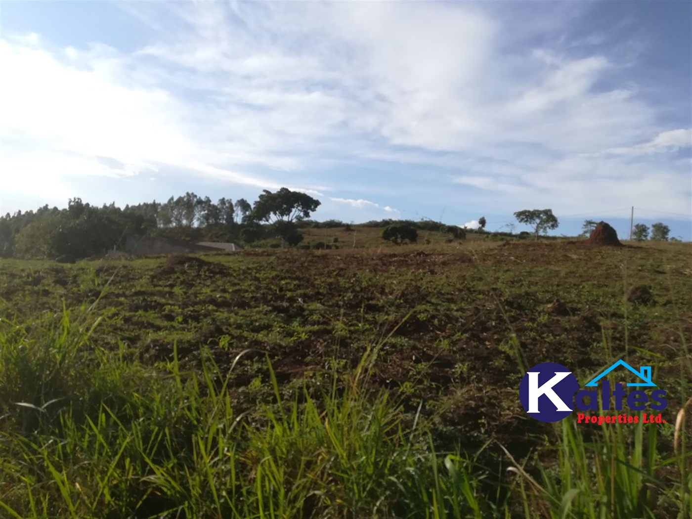 Residential Land for sale in Kiyunga Mukono
