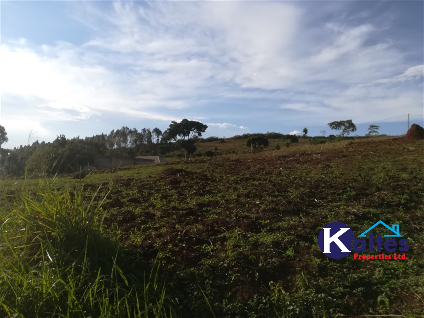 Residential Land for sale in Kiyunga Mukono