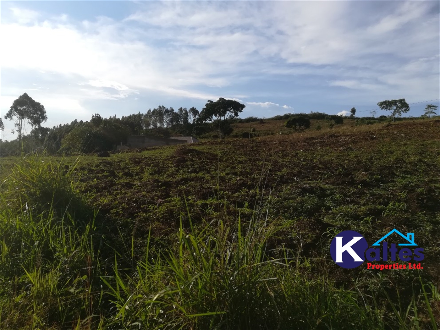 Residential Land for sale in Kiyunga Mukono