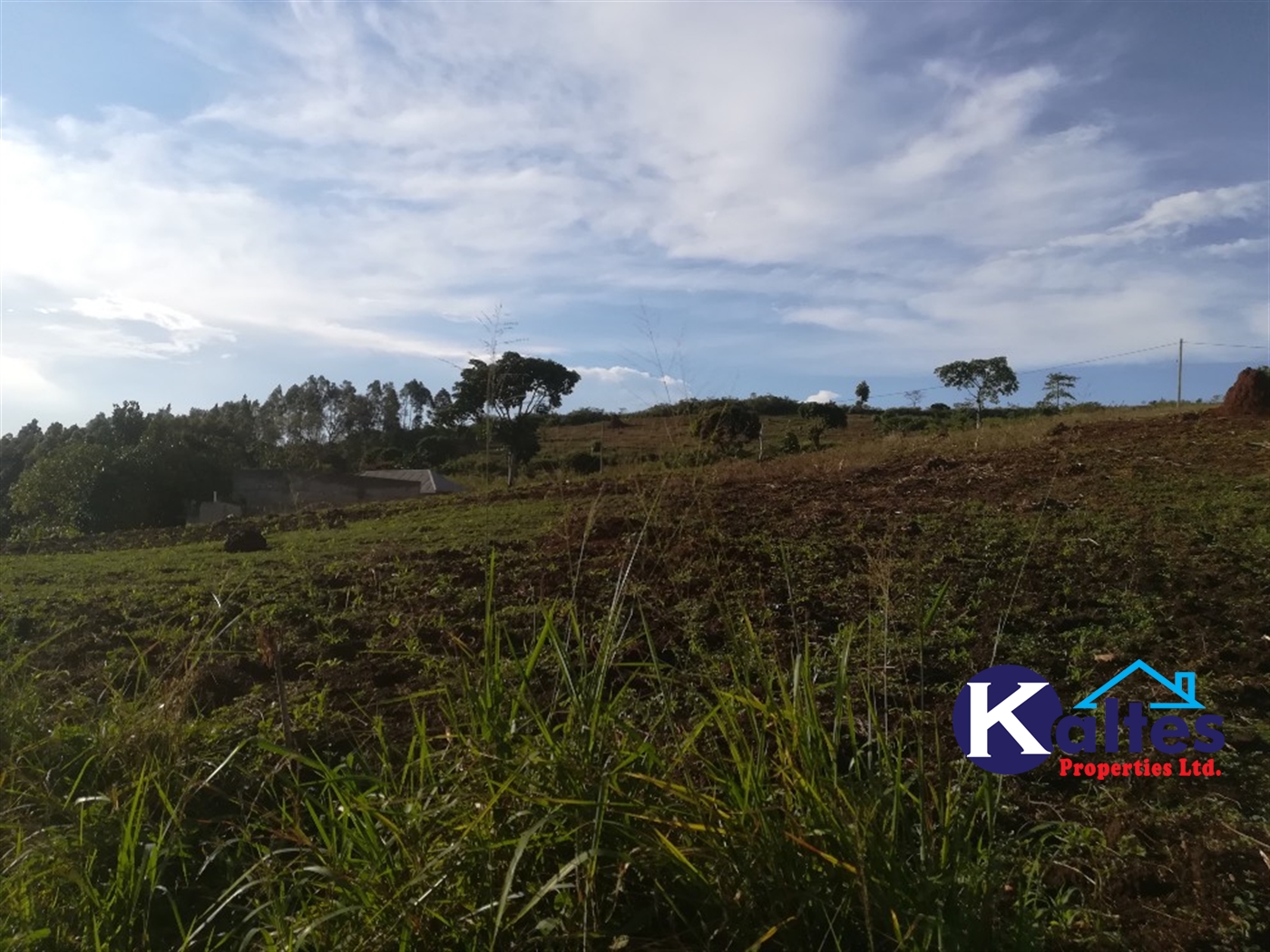 Residential Land for sale in Kiyunga Mukono