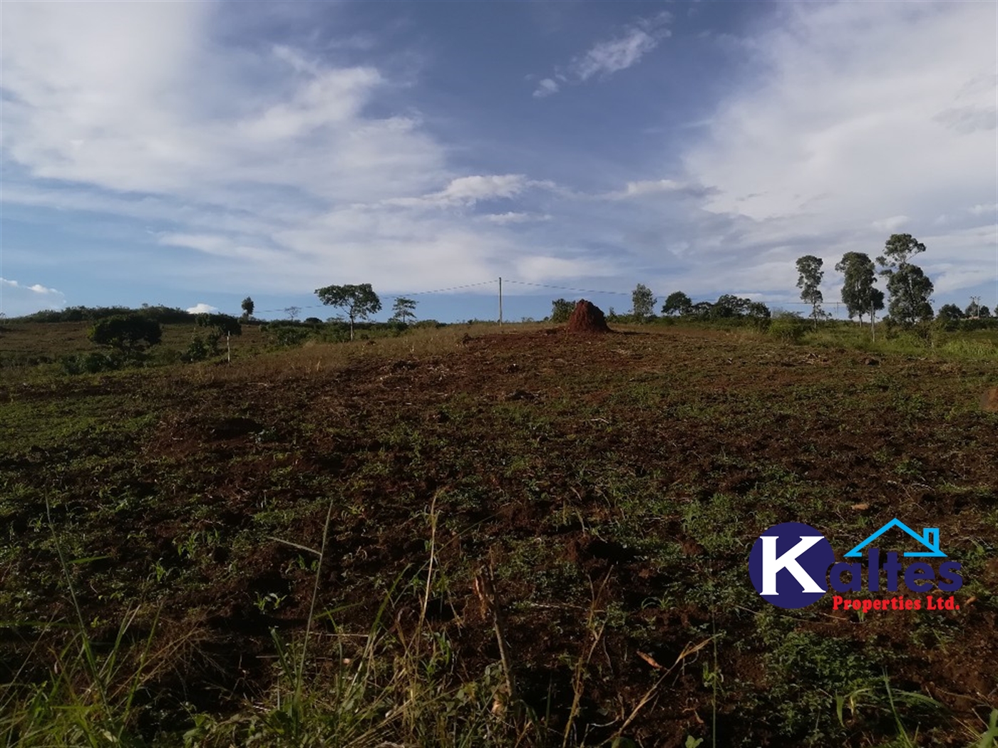 Residential Land for sale in Kiyunga Mukono