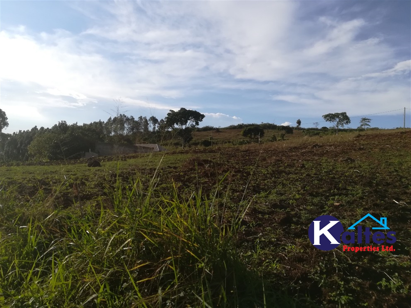 Residential Land for sale in Kiyunga Mukono