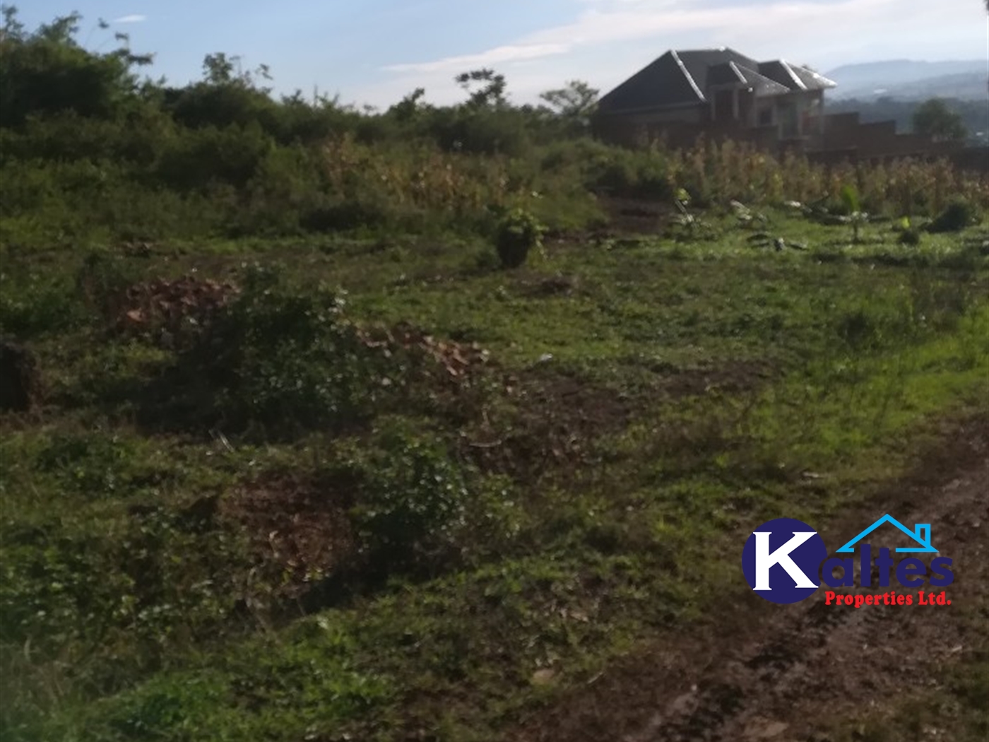 Residential Land for sale in Kiyunga Mukono