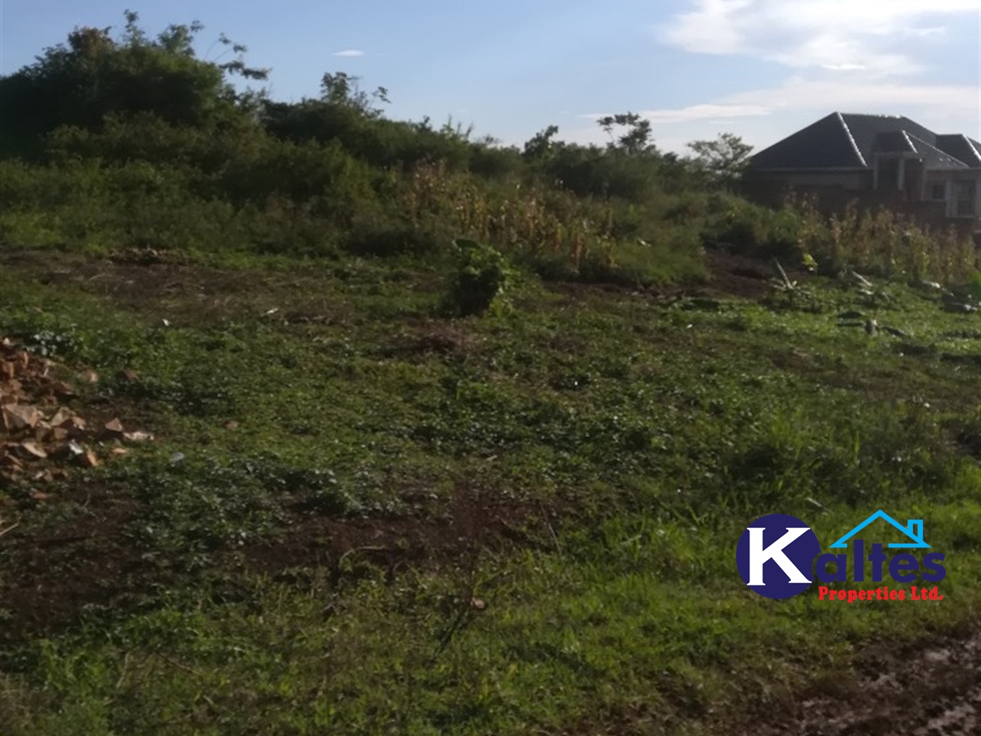 Residential Land for sale in Kiyunga Mukono