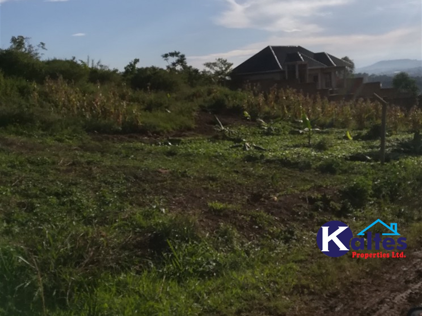 Residential Land for sale in Kiyunga Mukono