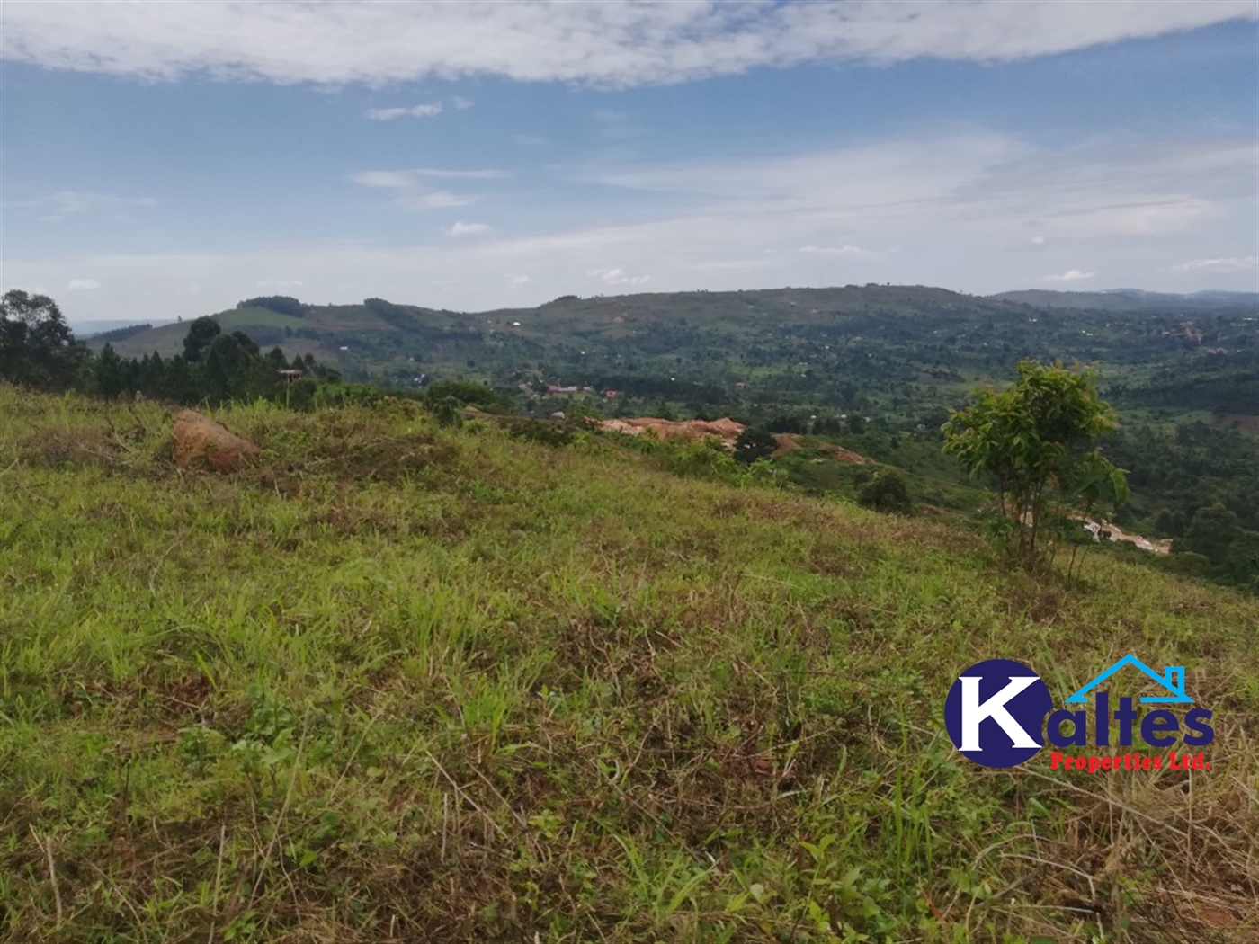 Residential Land for sale in Kisoga Mukono