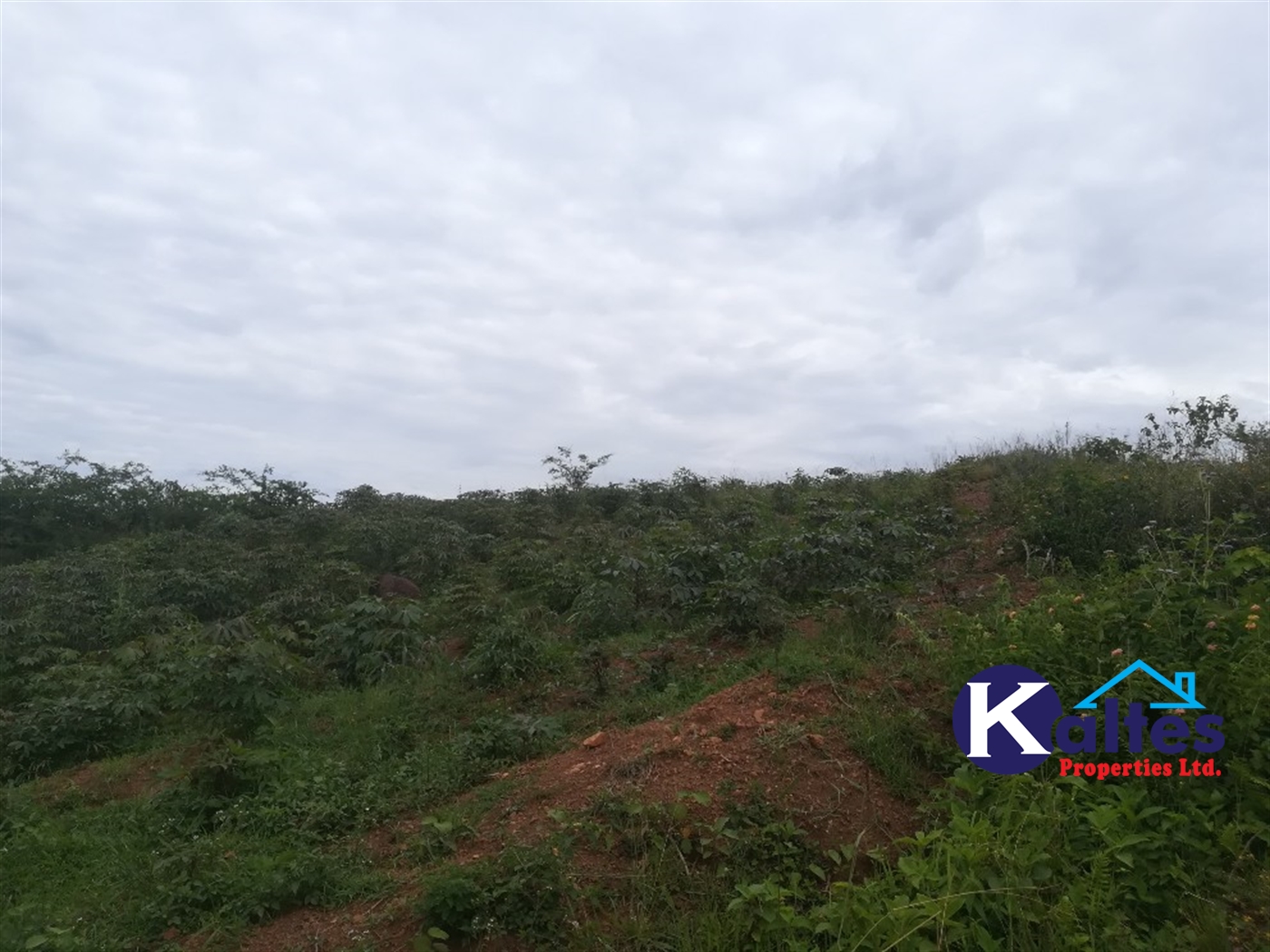 Residential Land for sale in Kisoga Mukono