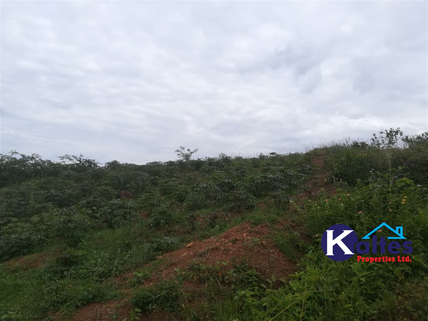 Residential Land for sale in Kisoga Mukono