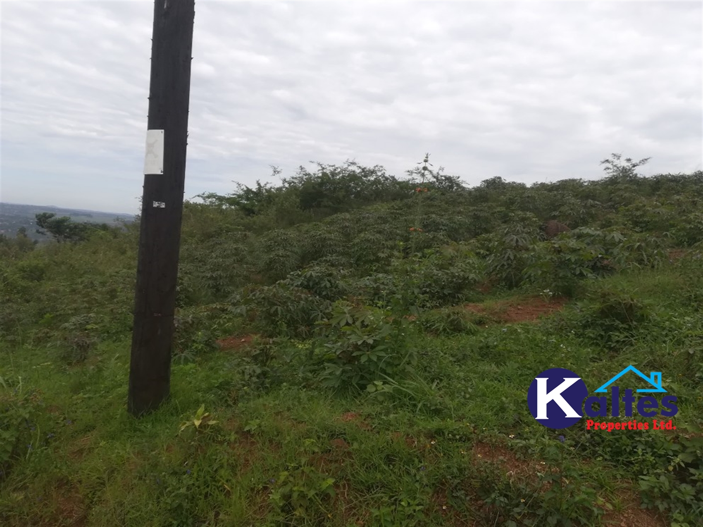 Residential Land for sale in Kisoga Mukono