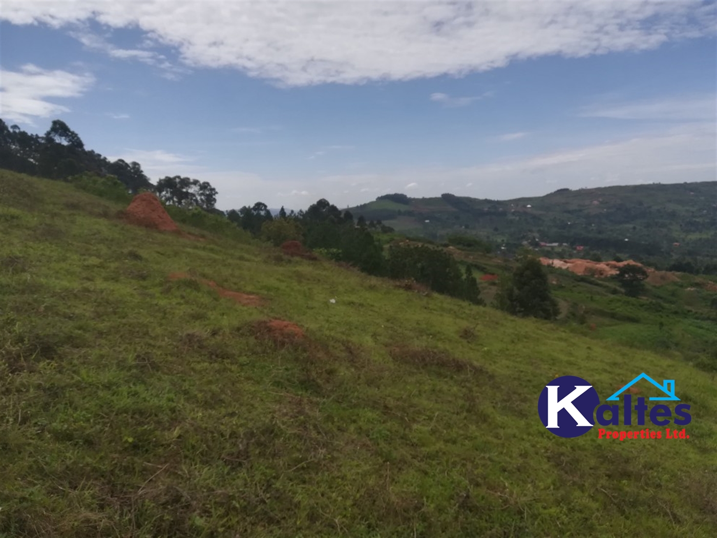 Residential Land for sale in Kisoga Mukono