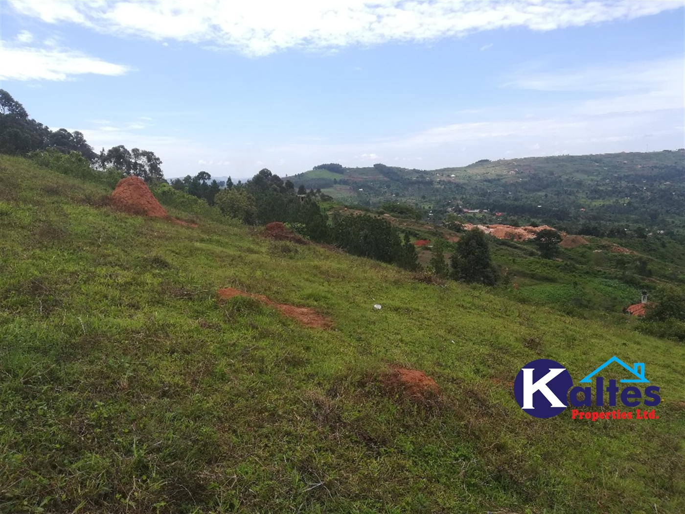 Residential Land for sale in Kisoga Mukono