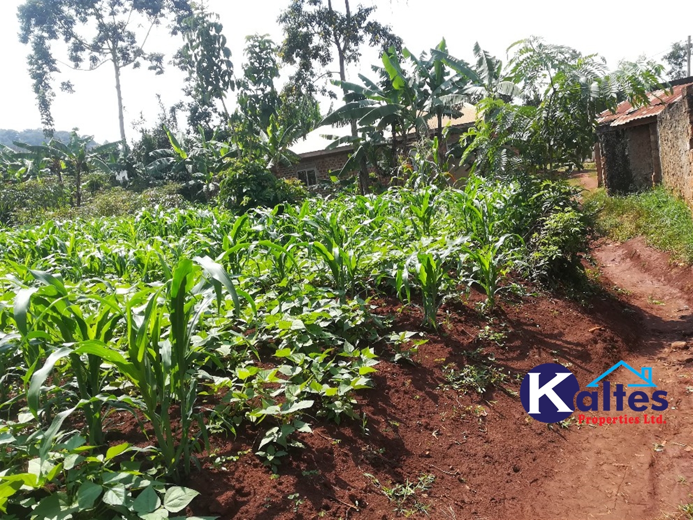 Residential Land for sale in Kalagi Mukono