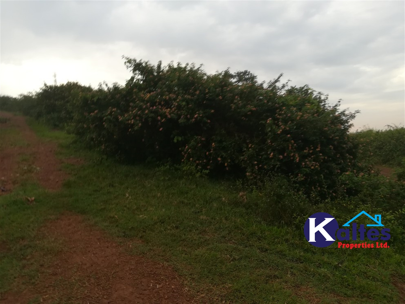 Residential Land for sale in Kalagi Mukono