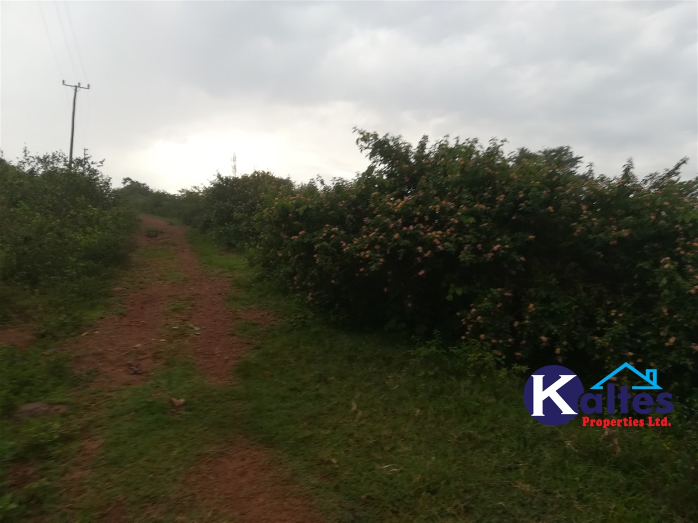 Residential Land for sale in Kalagi Mukono