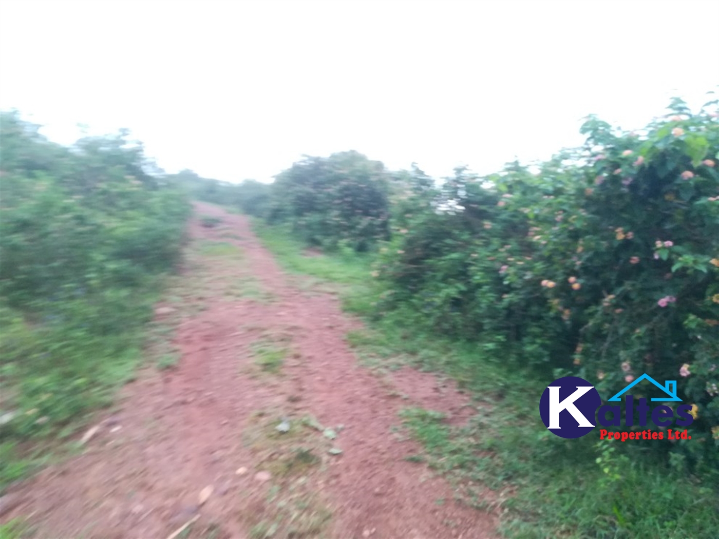 Residential Land for sale in Kalagi Mukono