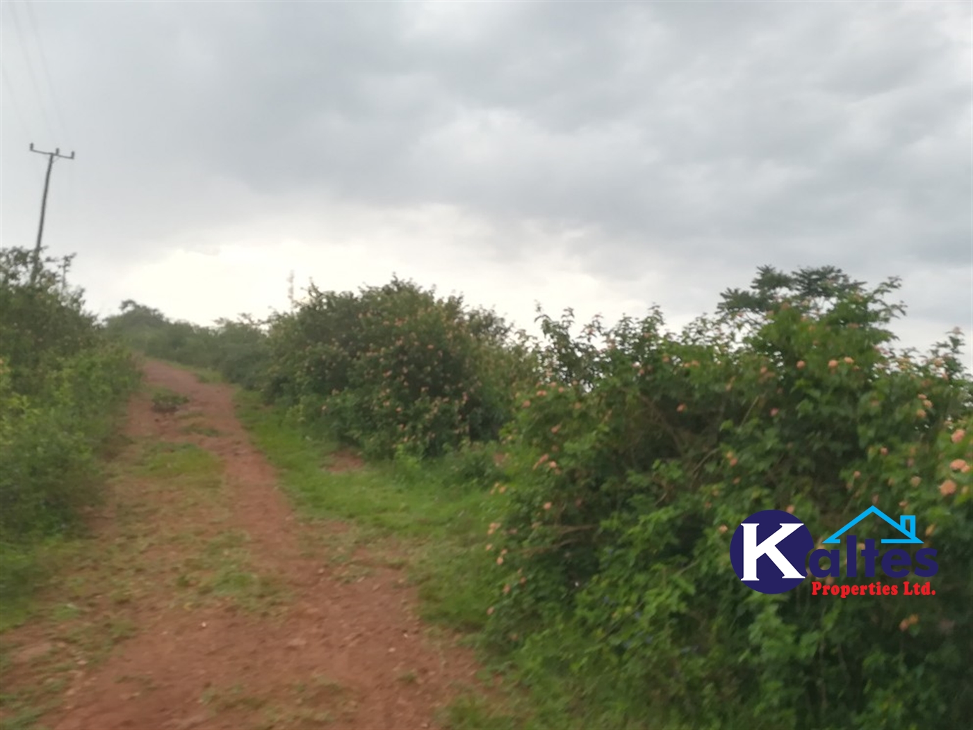 Residential Land for sale in Kalagi Mukono