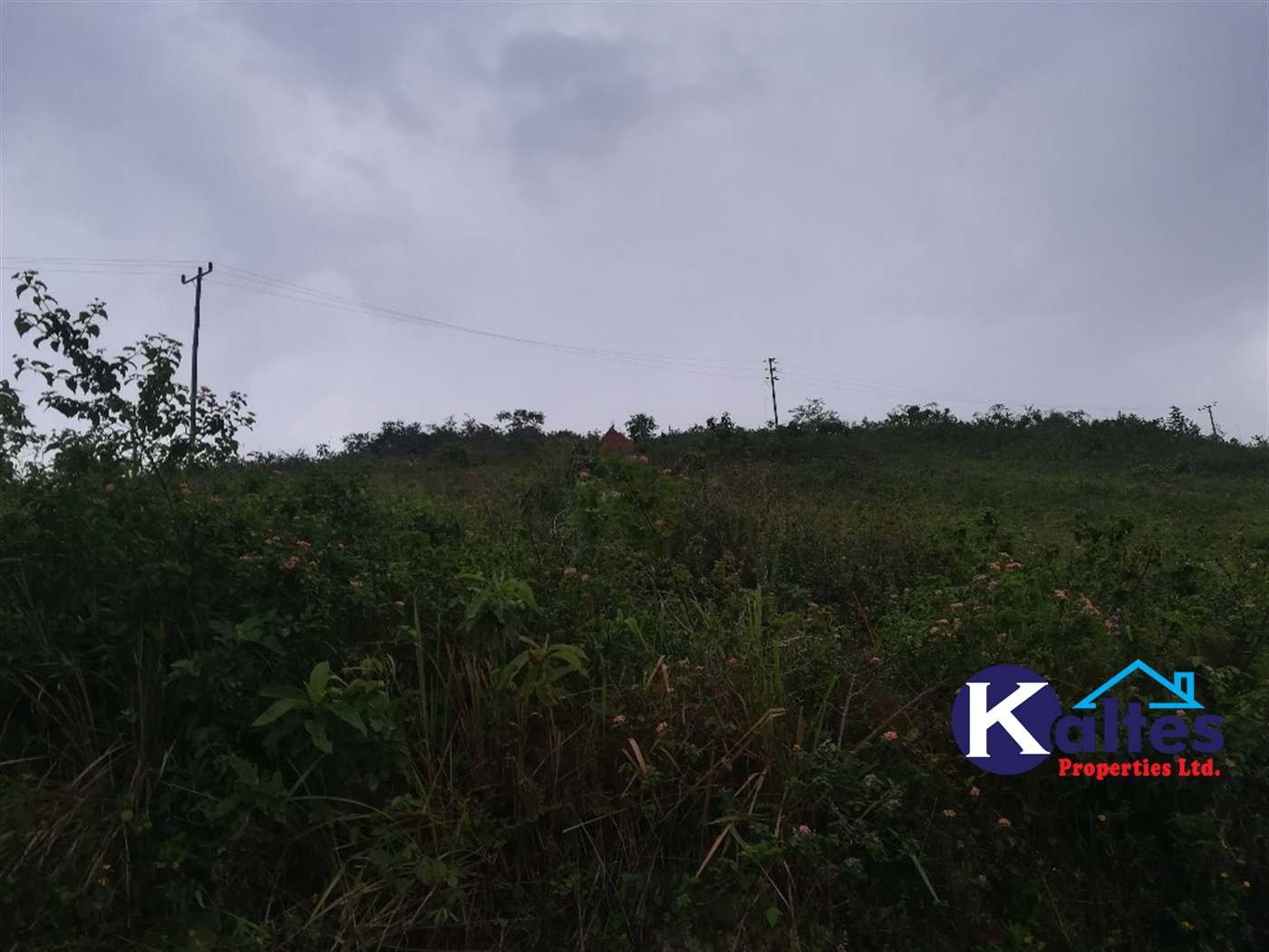 Residential Land for sale in Kalagi Mukono