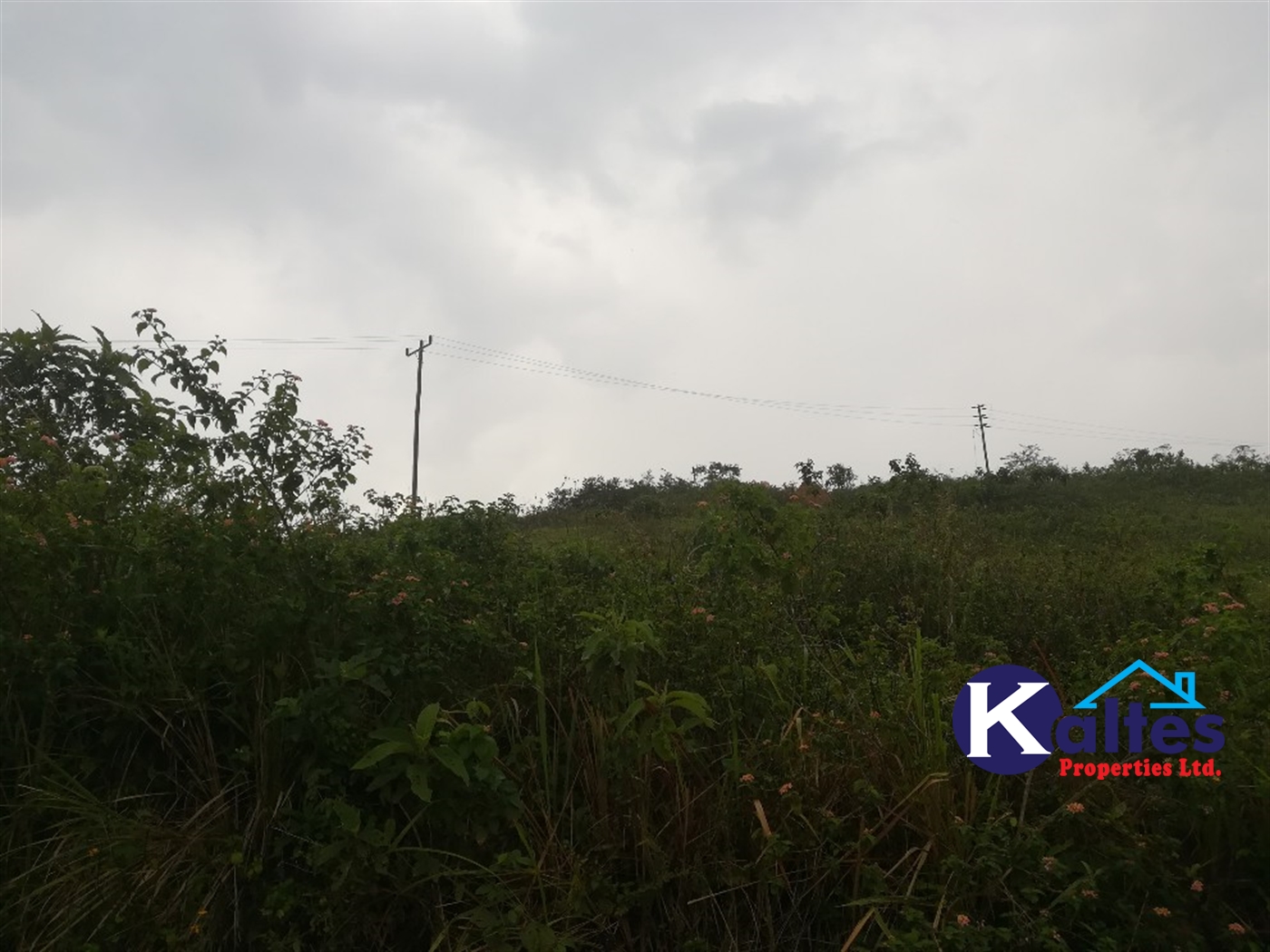 Residential Land for sale in Kalagi Mukono