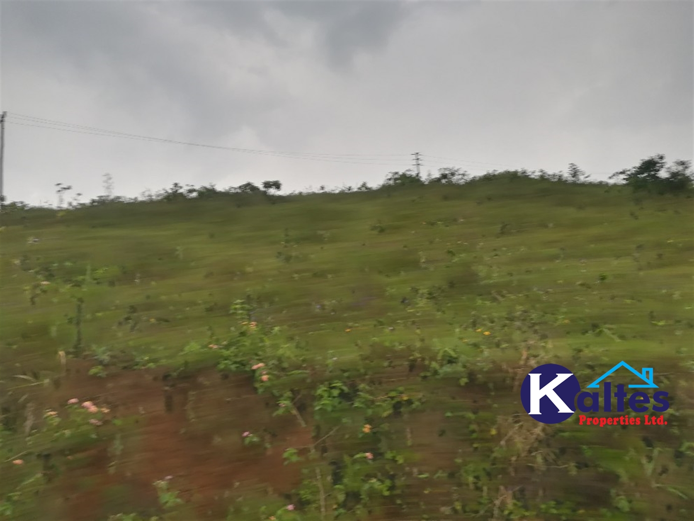 Residential Land for sale in Kalagi Mukono