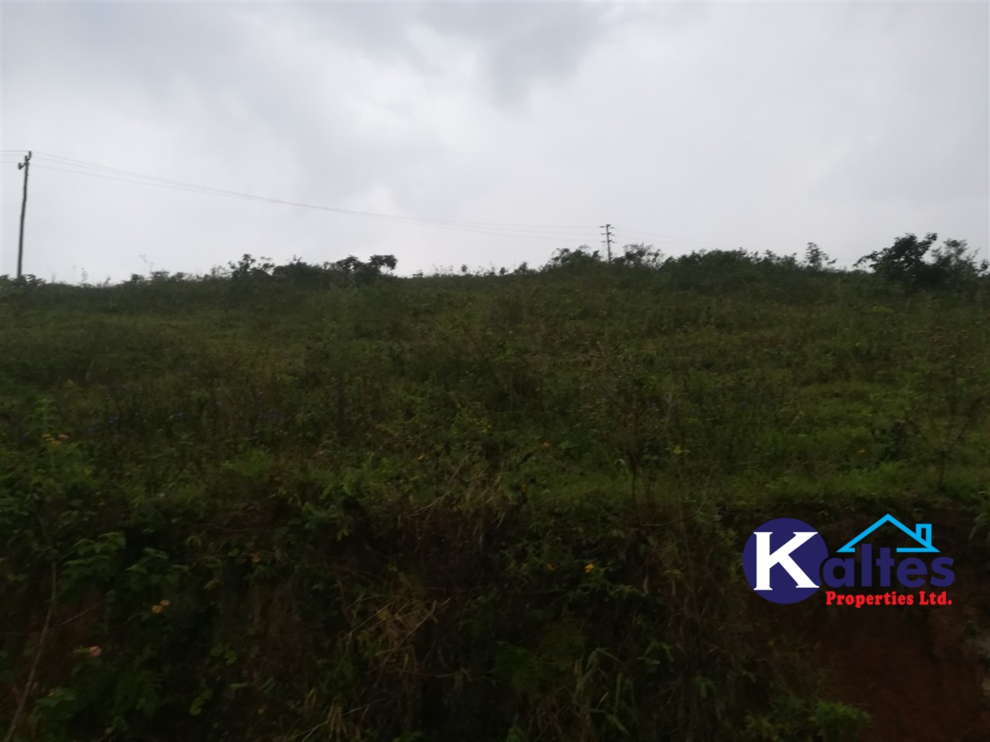 Residential Land for sale in Kalagi Mukono