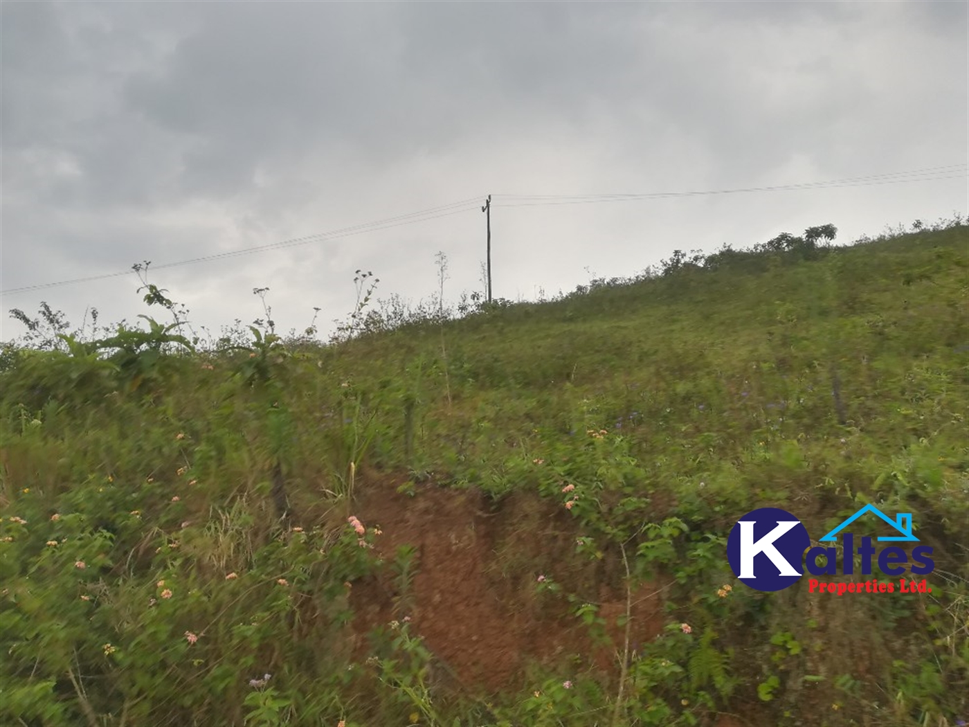 Residential Land for sale in Kalagi Mukono