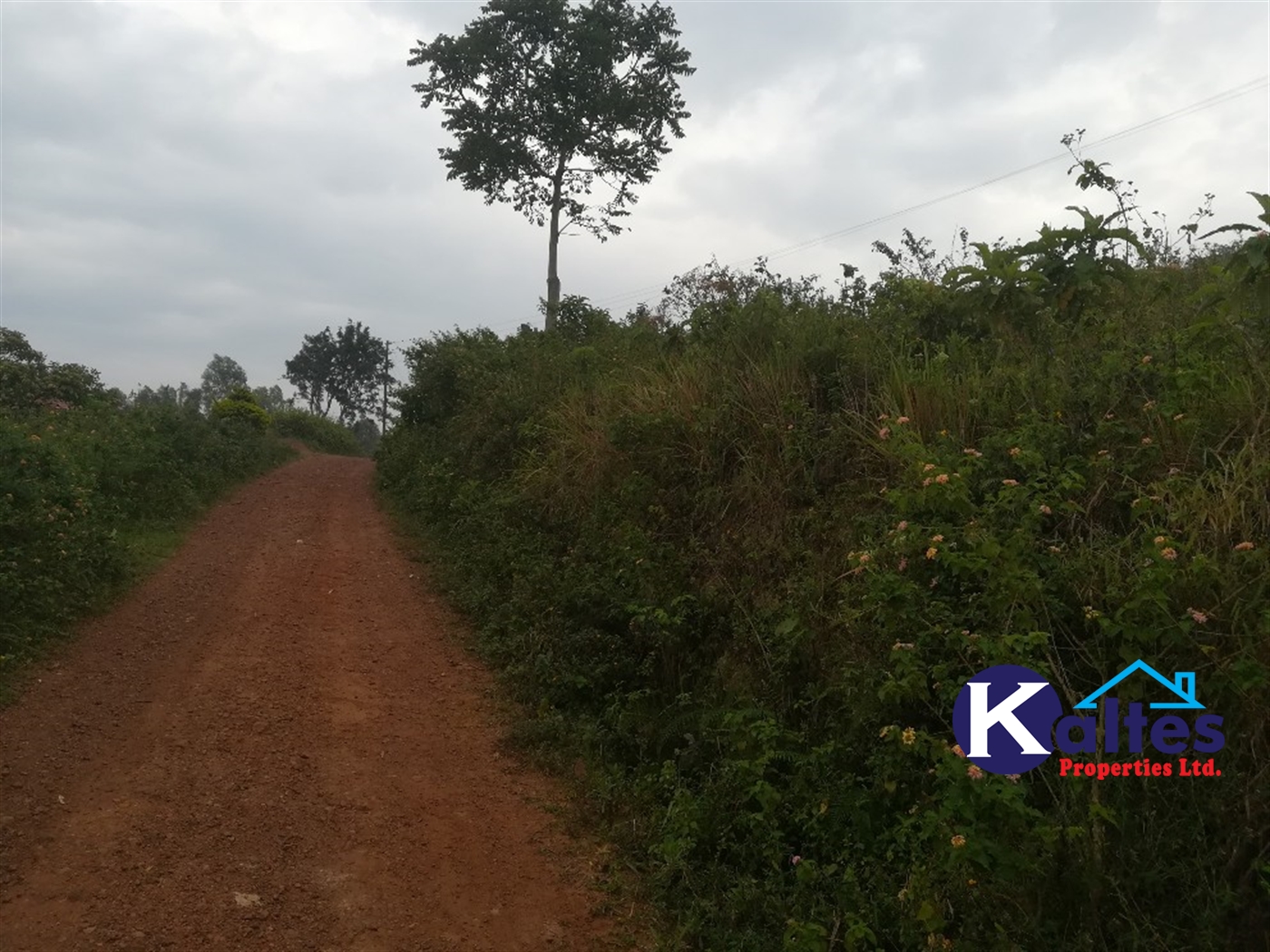 Residential Land for sale in Kalagi Mukono