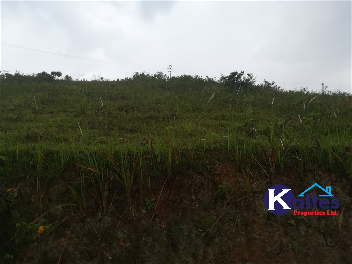 Residential Land for sale in Kalagi Mukono