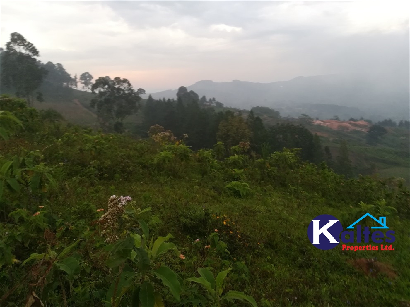 Residential Land for sale in Kalagi Mukono