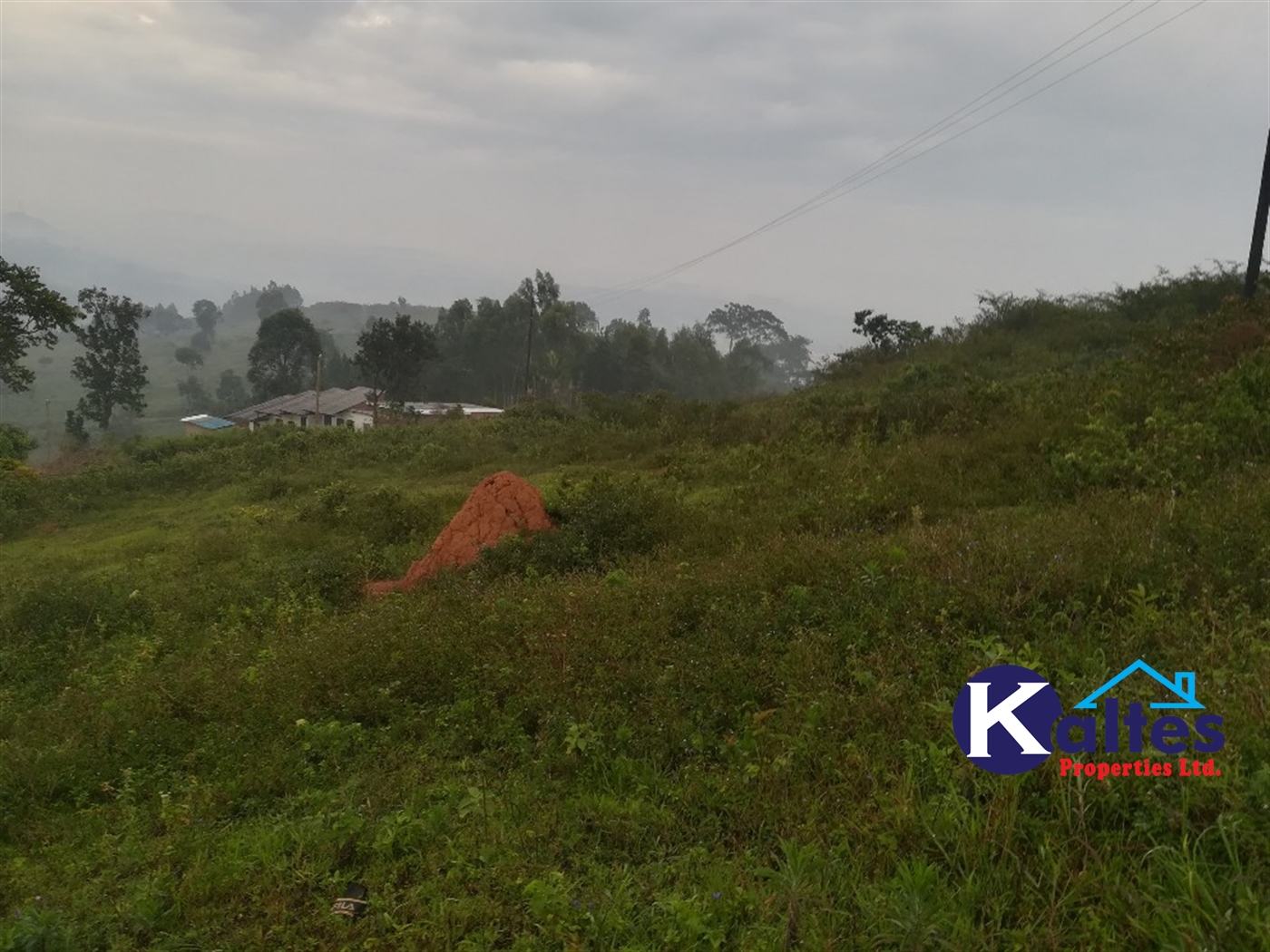 Residential Land for sale in Nakifuma Mukono