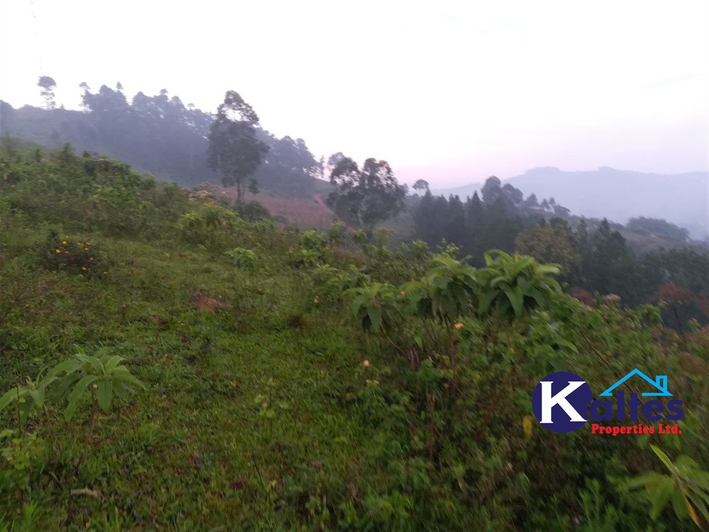 Residential Land for sale in Nakifuma Mukono