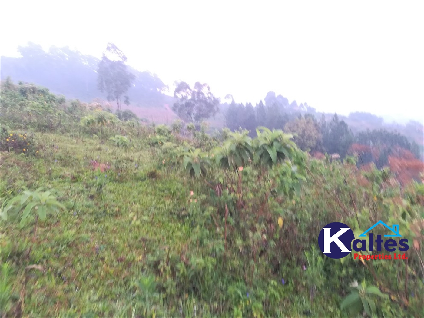 Residential Land for sale in Nakifuma Mukono