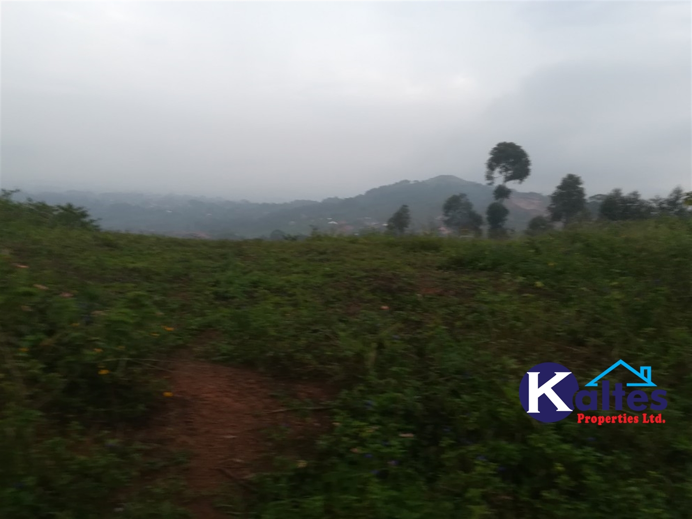 Residential Land for sale in Nakifuma Mukono