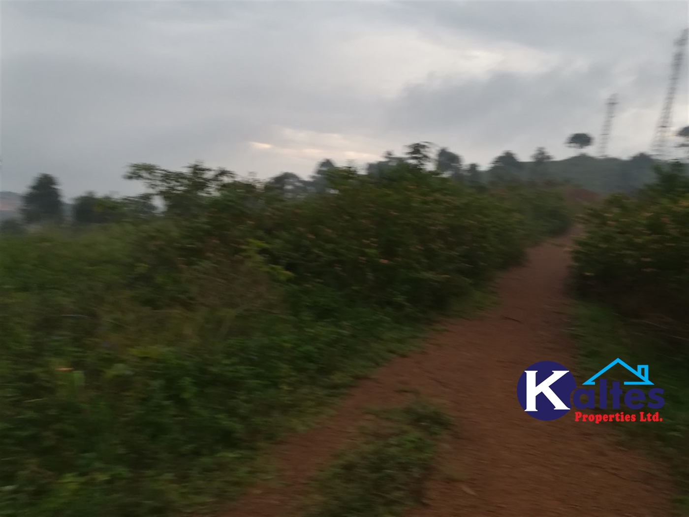 Residential Land for sale in Nakifuma Mukono