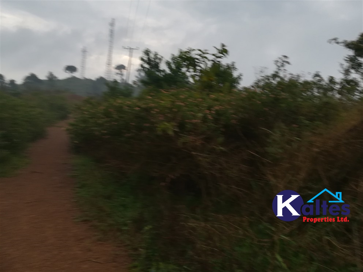 Residential Land for sale in Nakifuma Mukono