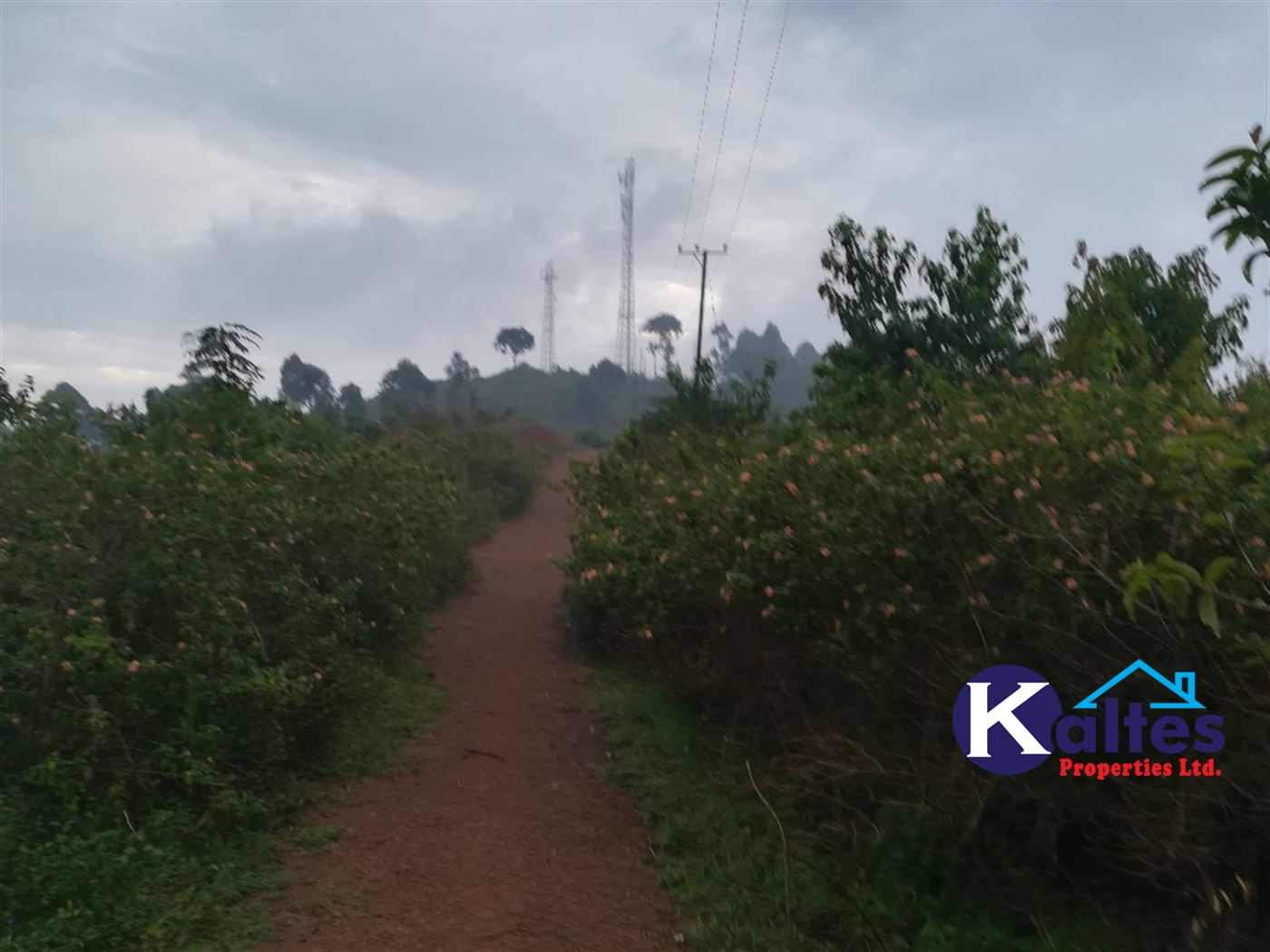 Residential Land for sale in Nakifuma Mukono