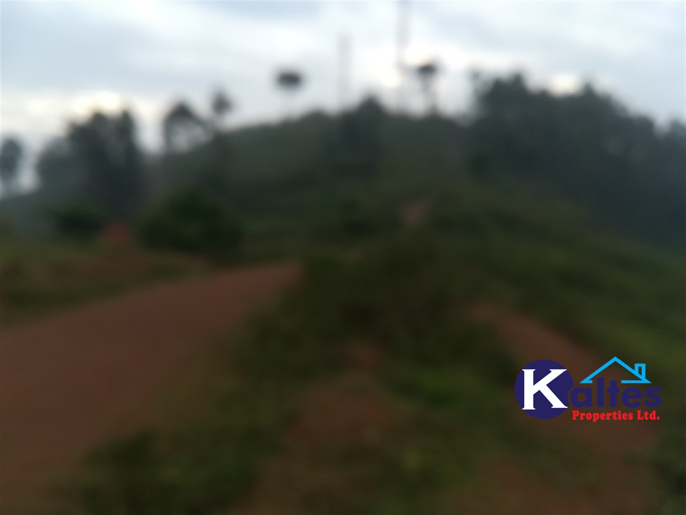 Residential Land for sale in Nakifuma Mukono