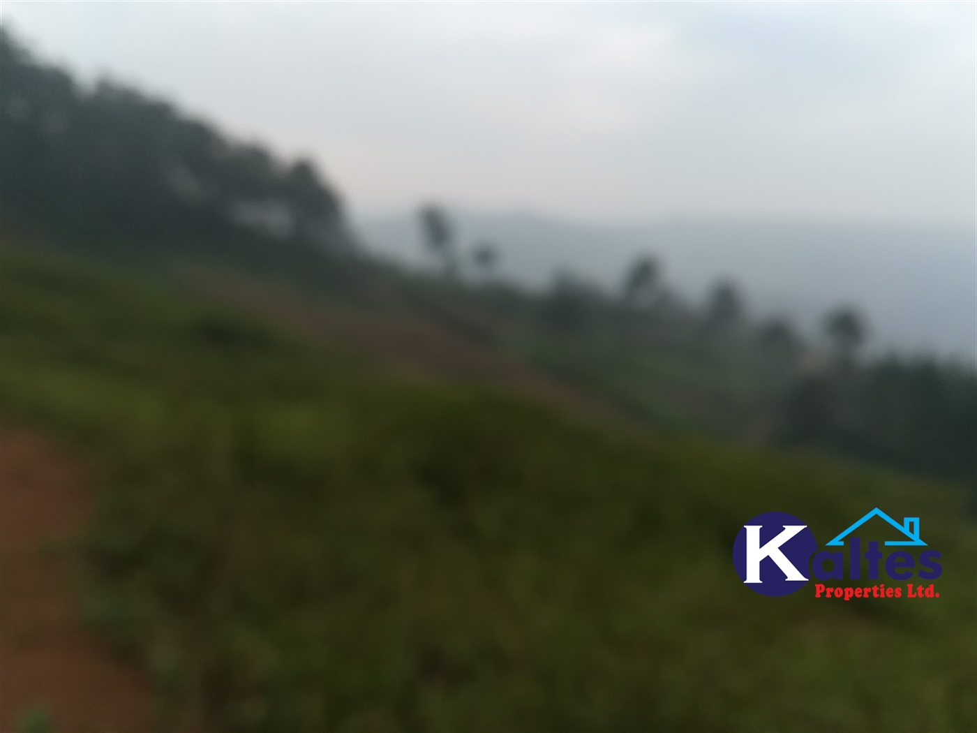 Residential Land for sale in Nakifuma Mukono