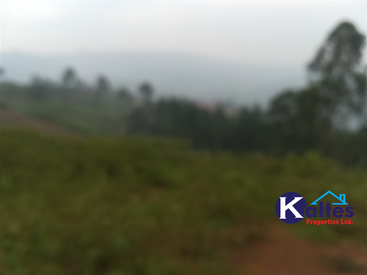 Residential Land for sale in Nakifuma Mukono