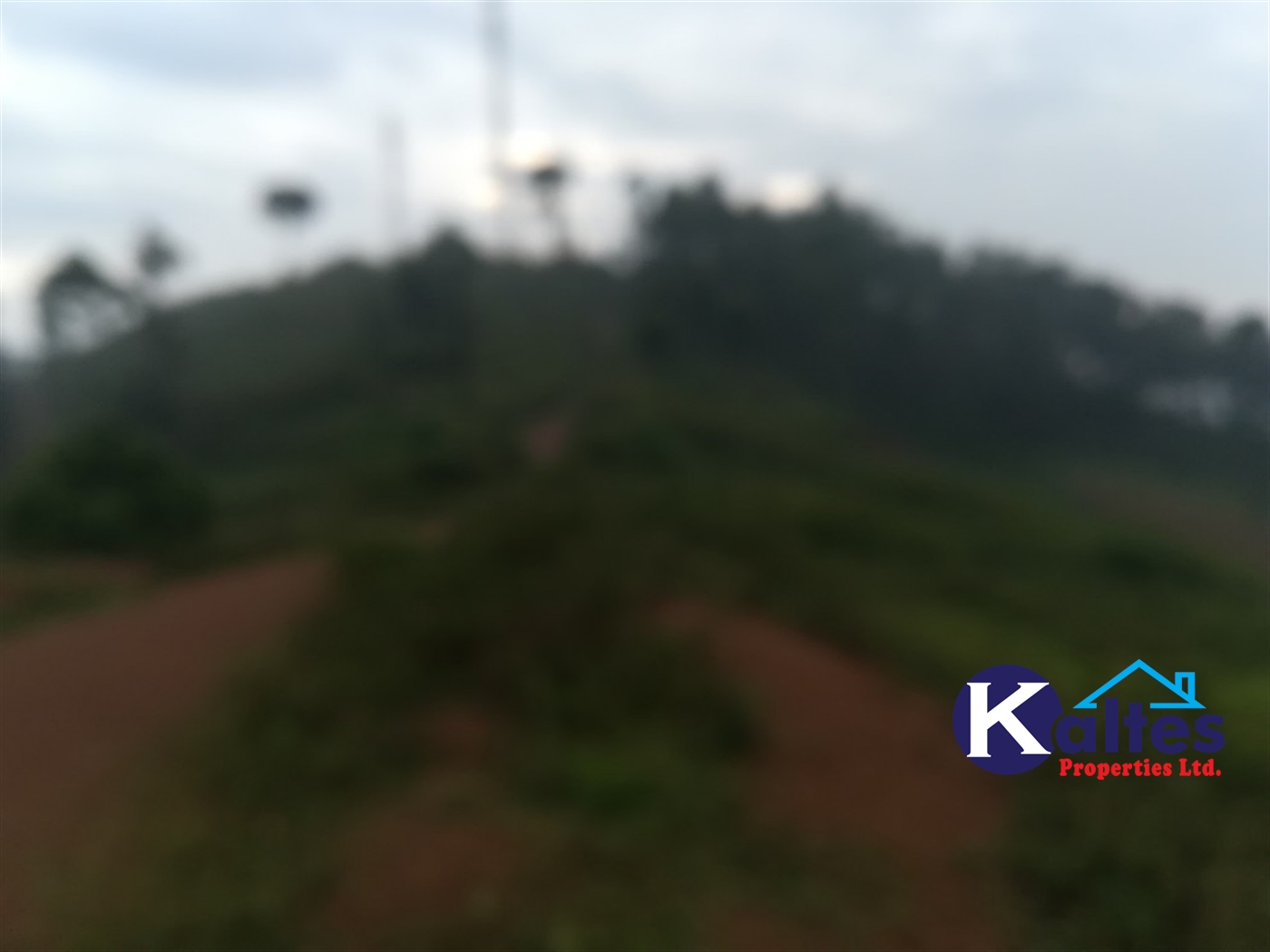 Residential Land for sale in Nakifuma Mukono