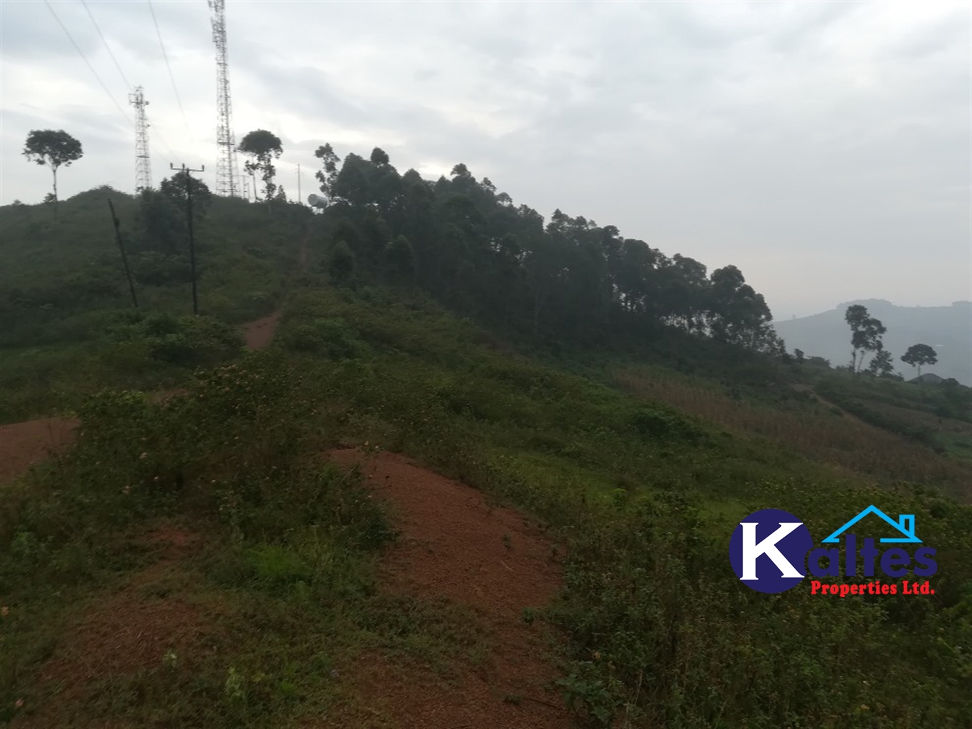 Residential Land for sale in Nakifuma Mukono