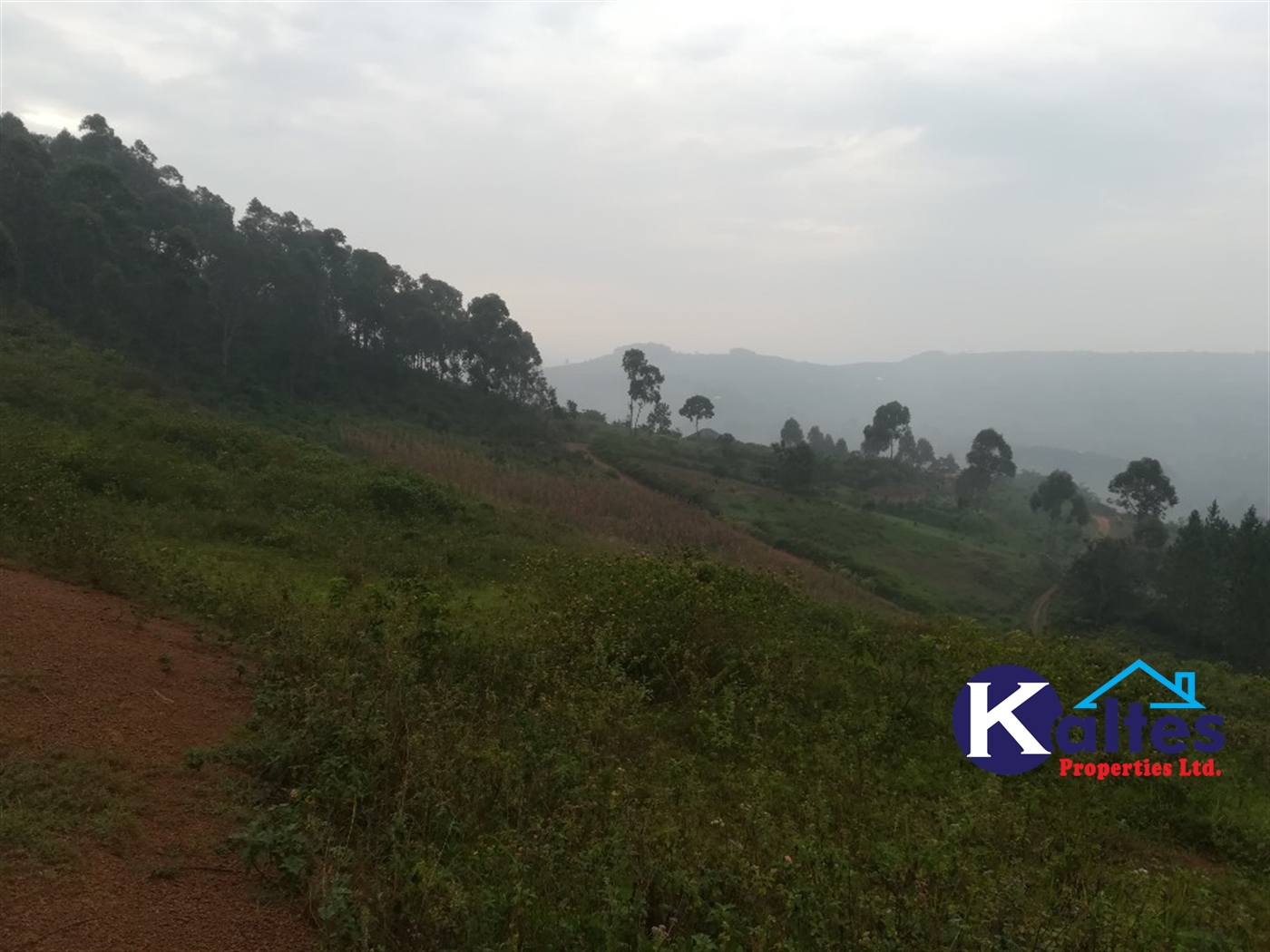 Residential Land for sale in Nakifuma Mukono