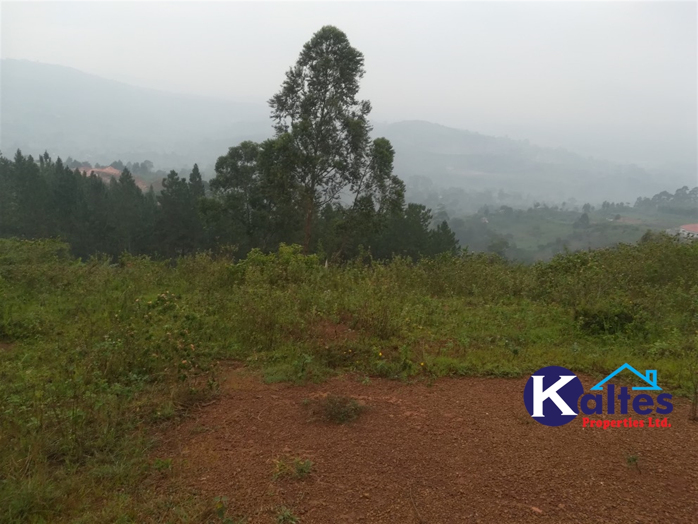 Residential Land for sale in Nakifuma Mukono