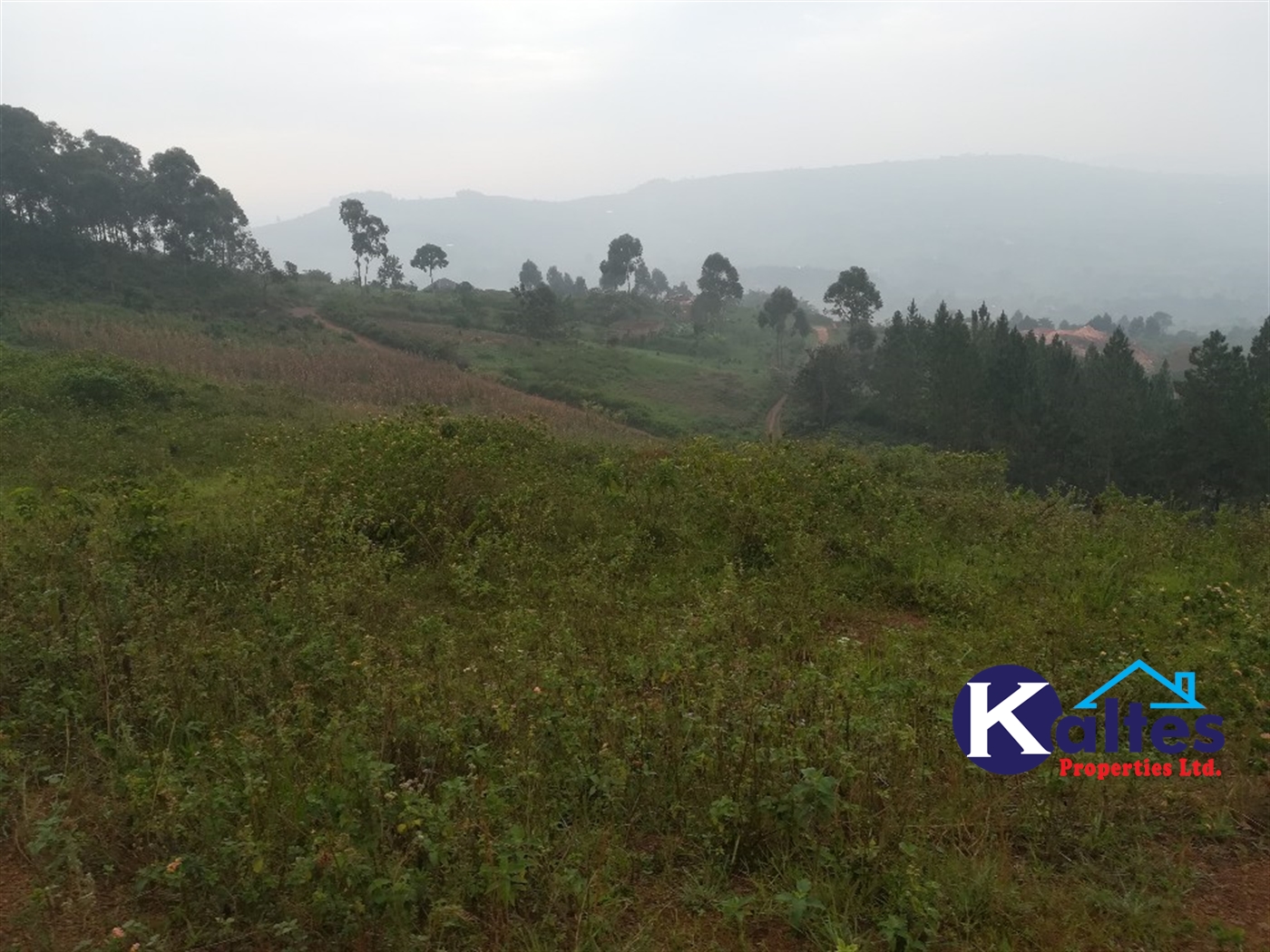 Residential Land for sale in Nakifuma Mukono