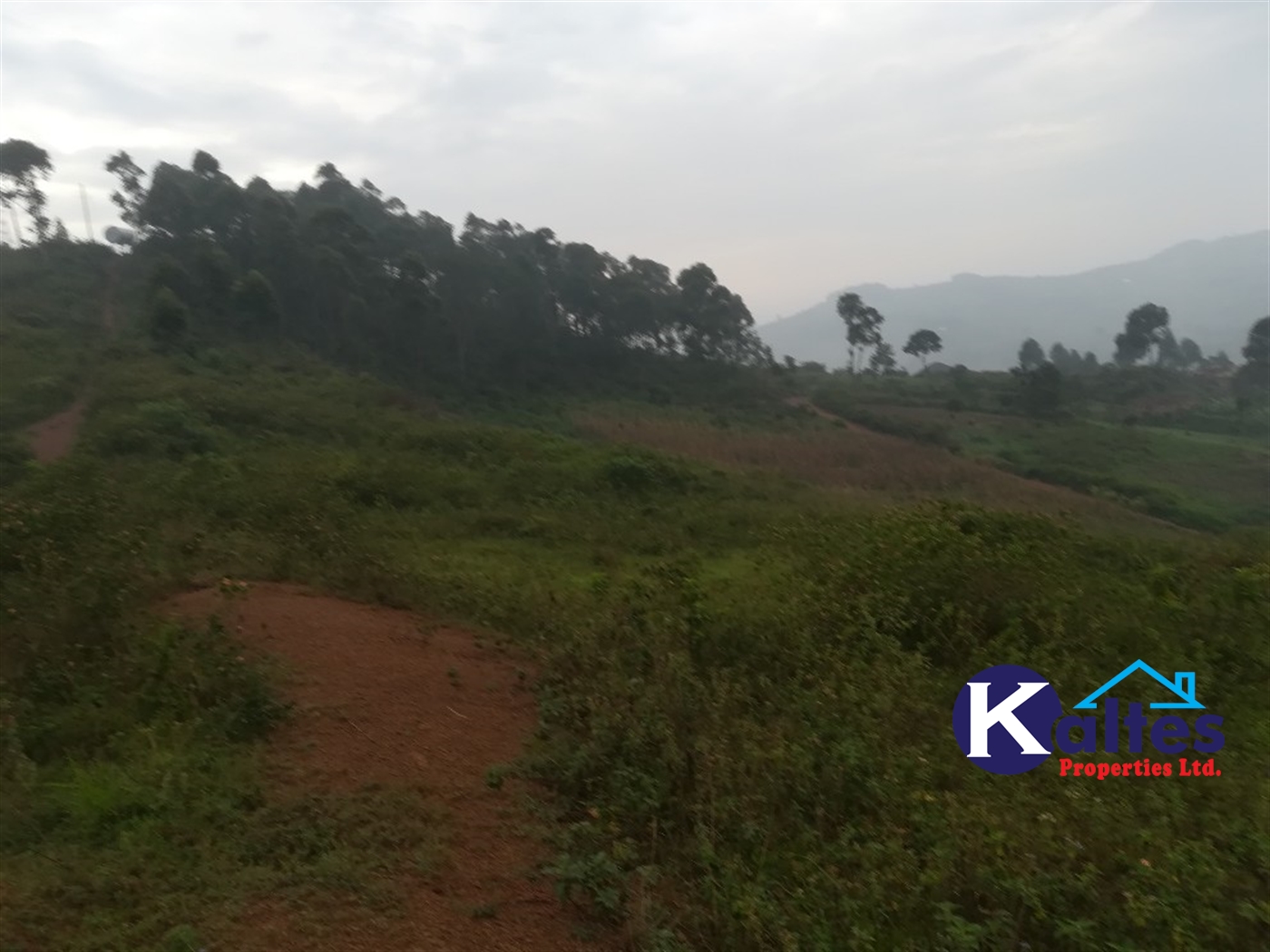 Residential Land for sale in Nakifuma Mukono