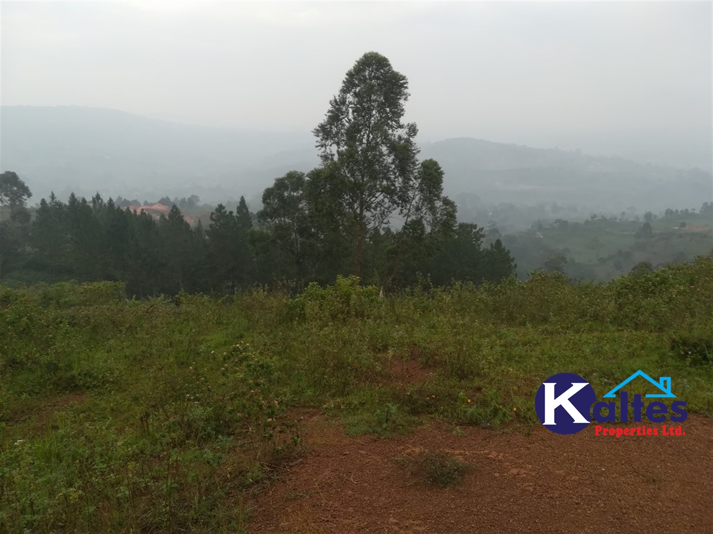 Residential Land for sale in Nakifuma Mukono